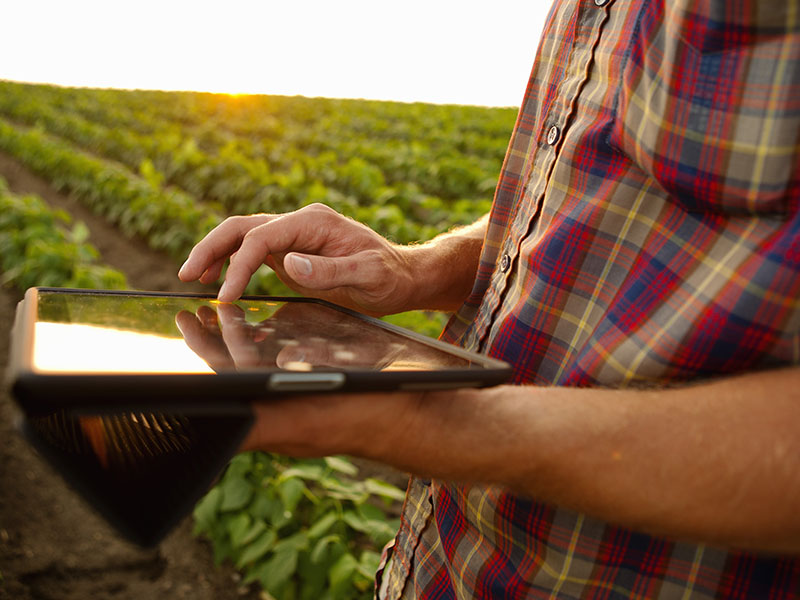 Farmer Tablet
